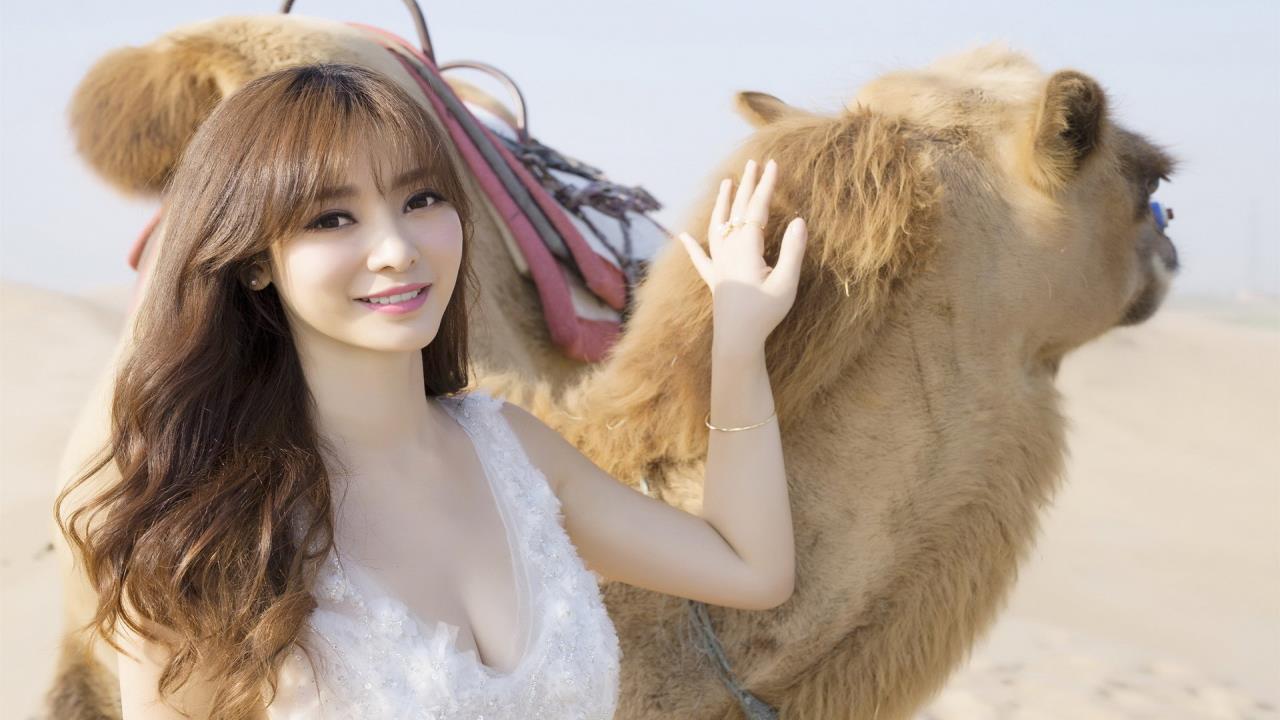 口袋妖怪，漆黑专爱——探索未知的冒险之旅
